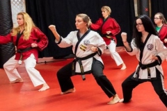 Adult-martial-arts-program-sm Adult-martial-arts-program-sm